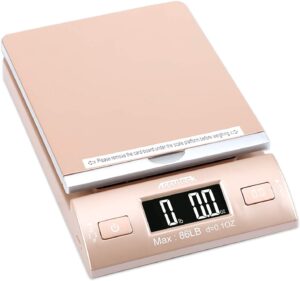 Accuteck Gold Digital Shipping Scale